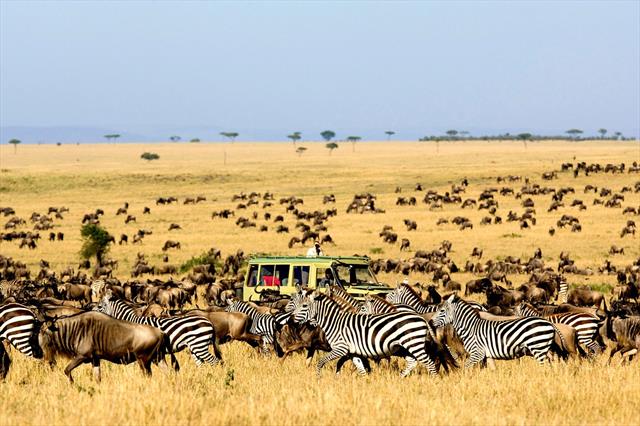Kidepo Valley National Park in Uganda