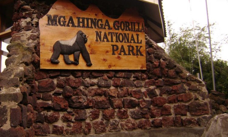 Mgahinga National park