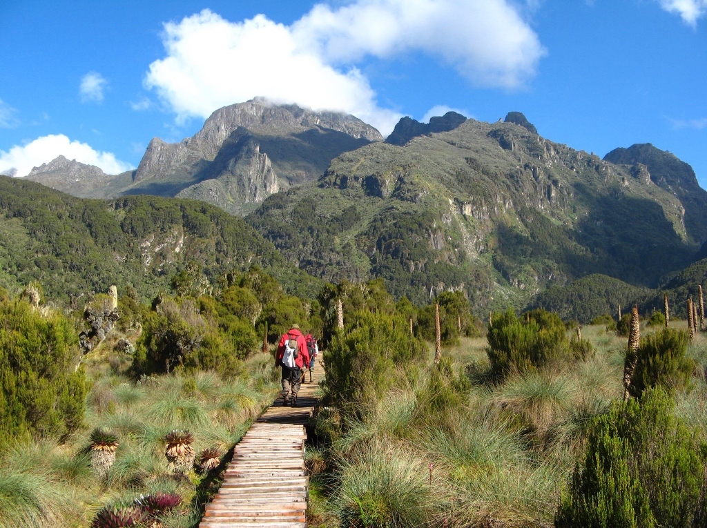 Rwenzori Mountains National Park