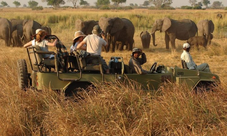 Kidepo Valley National Park