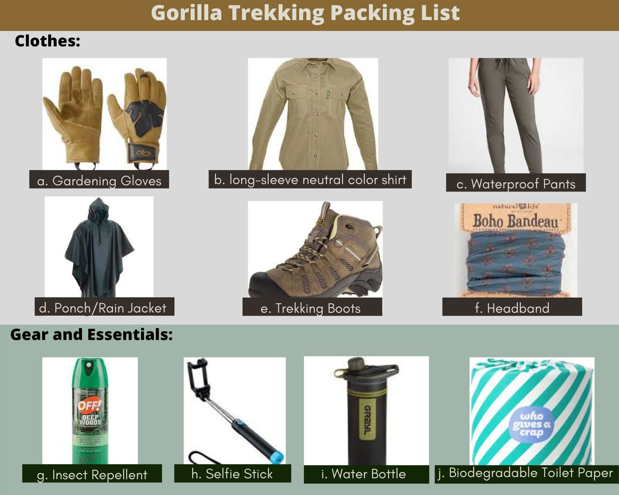 Gorilla trekking